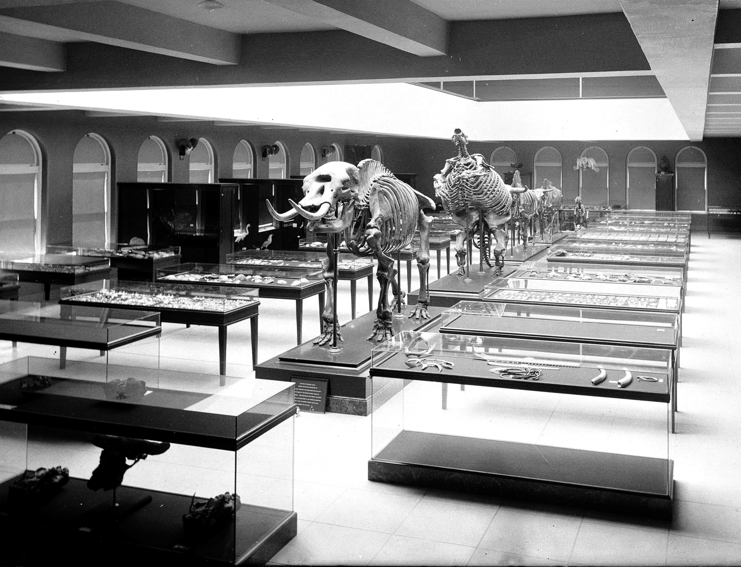 Los Angeles Natural History Museum Library Los Angeles Natural History Museum Library
