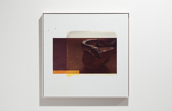 Markus Selg, "La Vague d'Esprit" at Vilma Gold, London, 2014