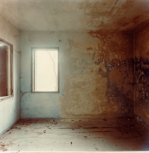 Guido Guidi, “Preganziol”, 1983