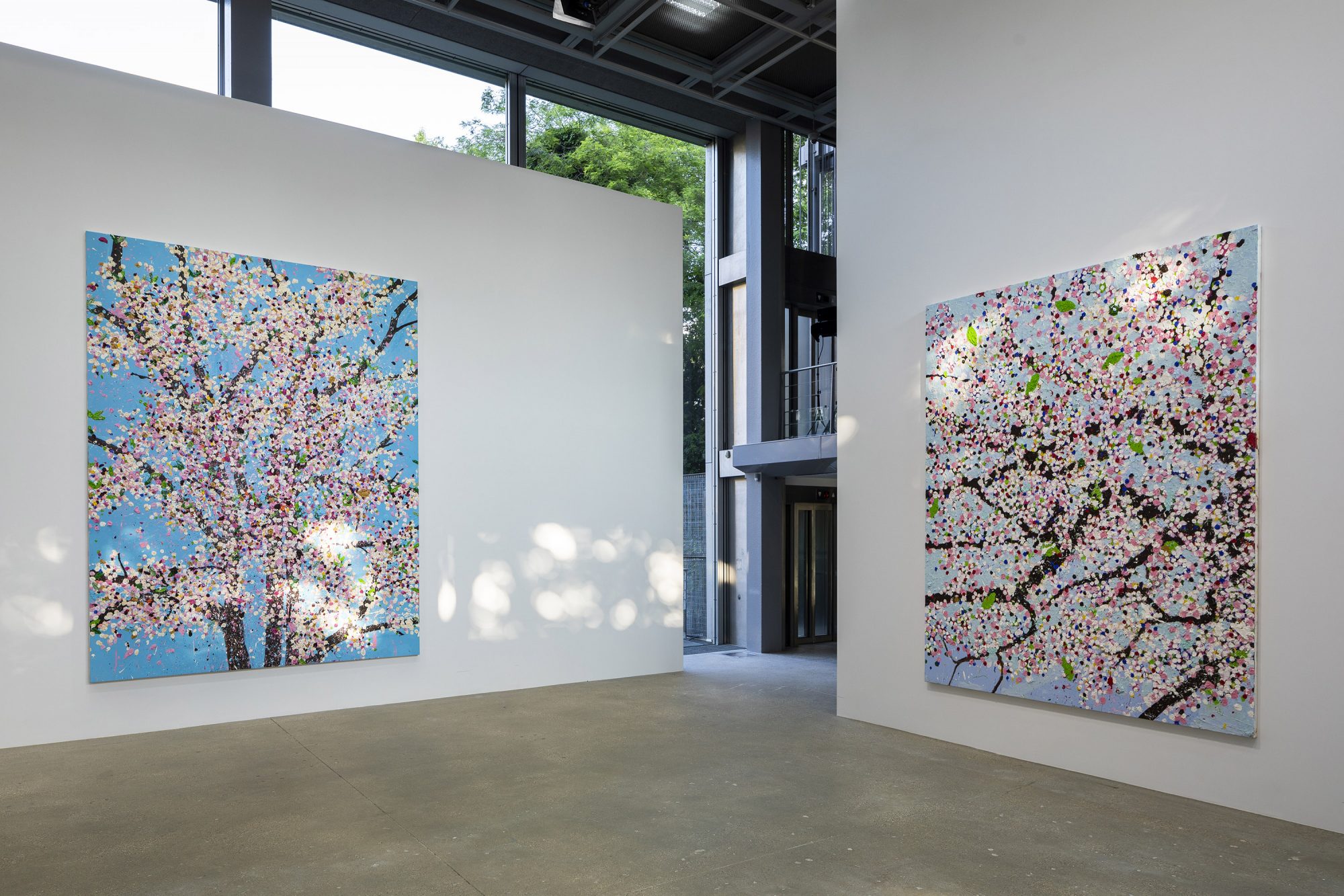 超美品 damien hirst ICA Exhibition 洋書 本¥12,716-www