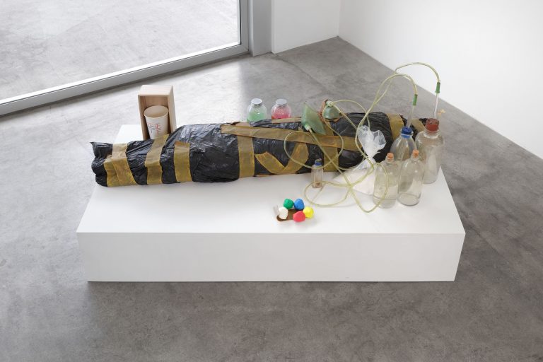Shuzo Azuchi Gulliver “Synogenesis” at Nonaka-Hill, Los Angeles — Mousse Journal and Publishing