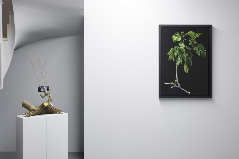 Anna Marzuttini and Giovanni Fredi, paired at SMDOT in Udine
