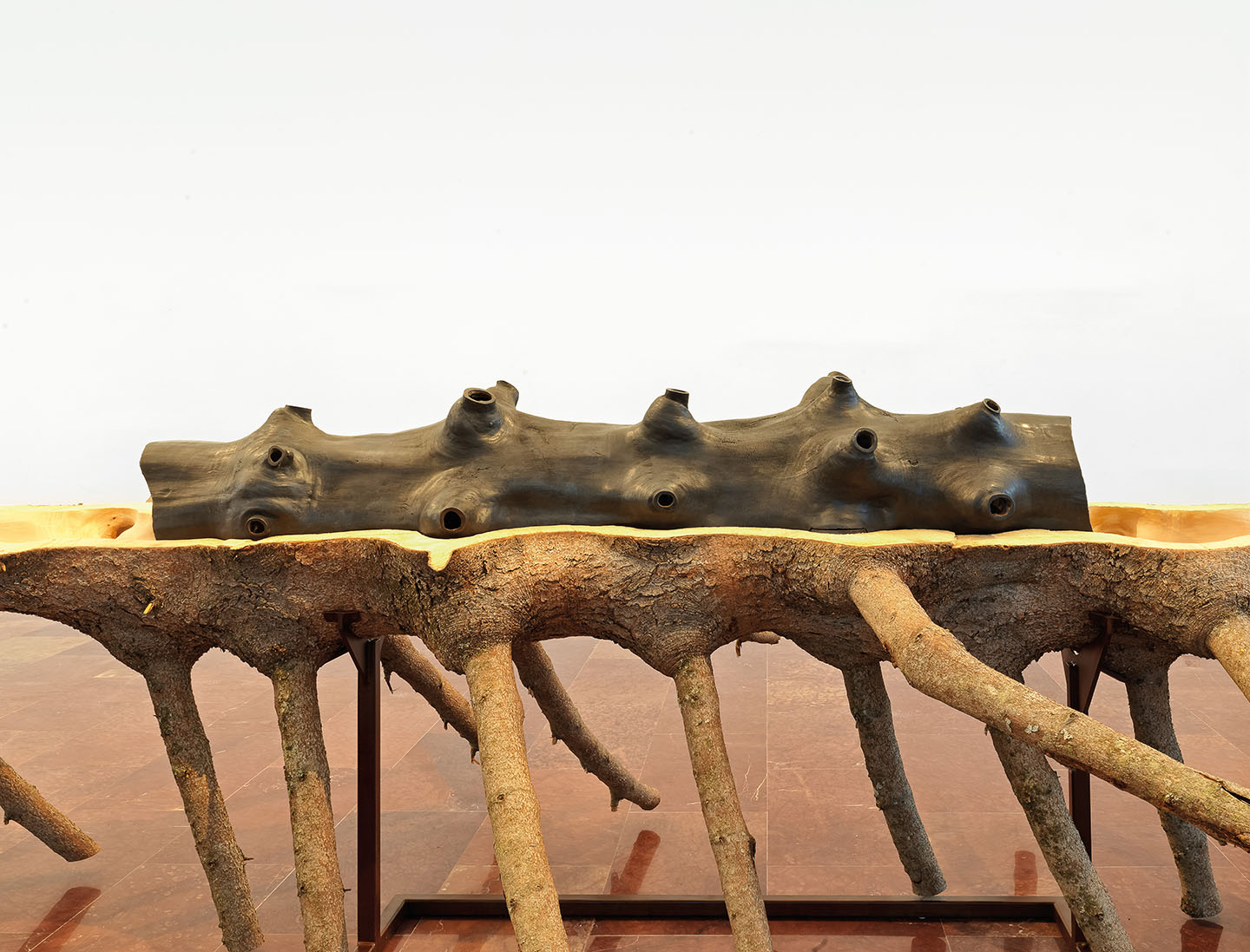 Giuseppe Penone: Matrice — Mousse Magazine and Publishing
