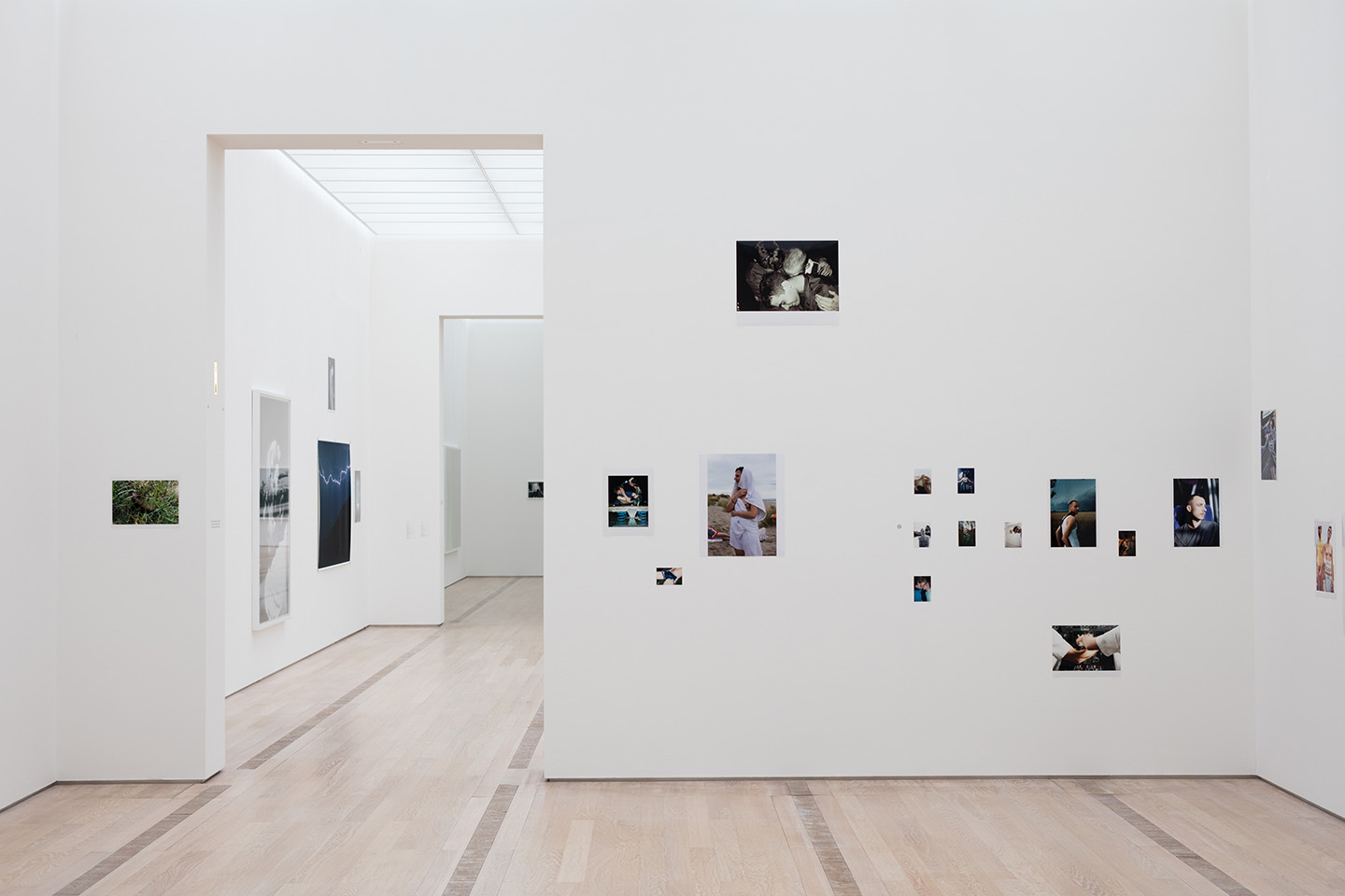 Wolfgang Tillmans at Fondation Beyeler, Basel — Mousse Magazine 