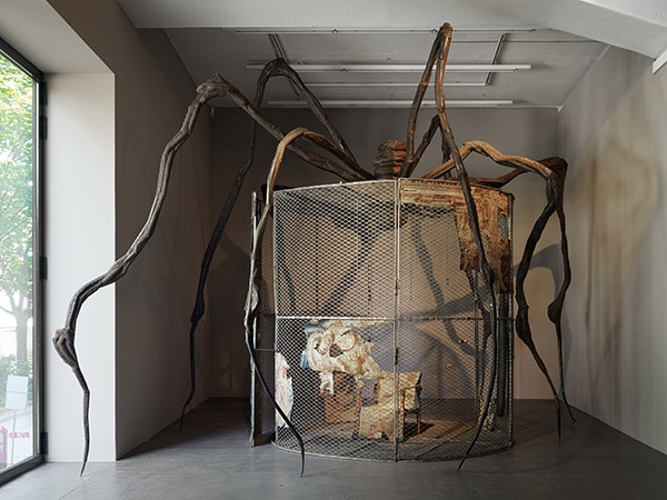Louise Bourgeois “L'araignée et les tapisseries” and Mark
