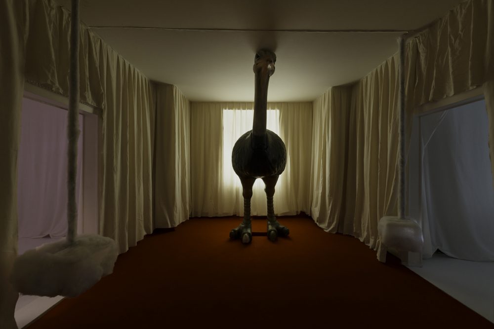 393f C Yyajpcm