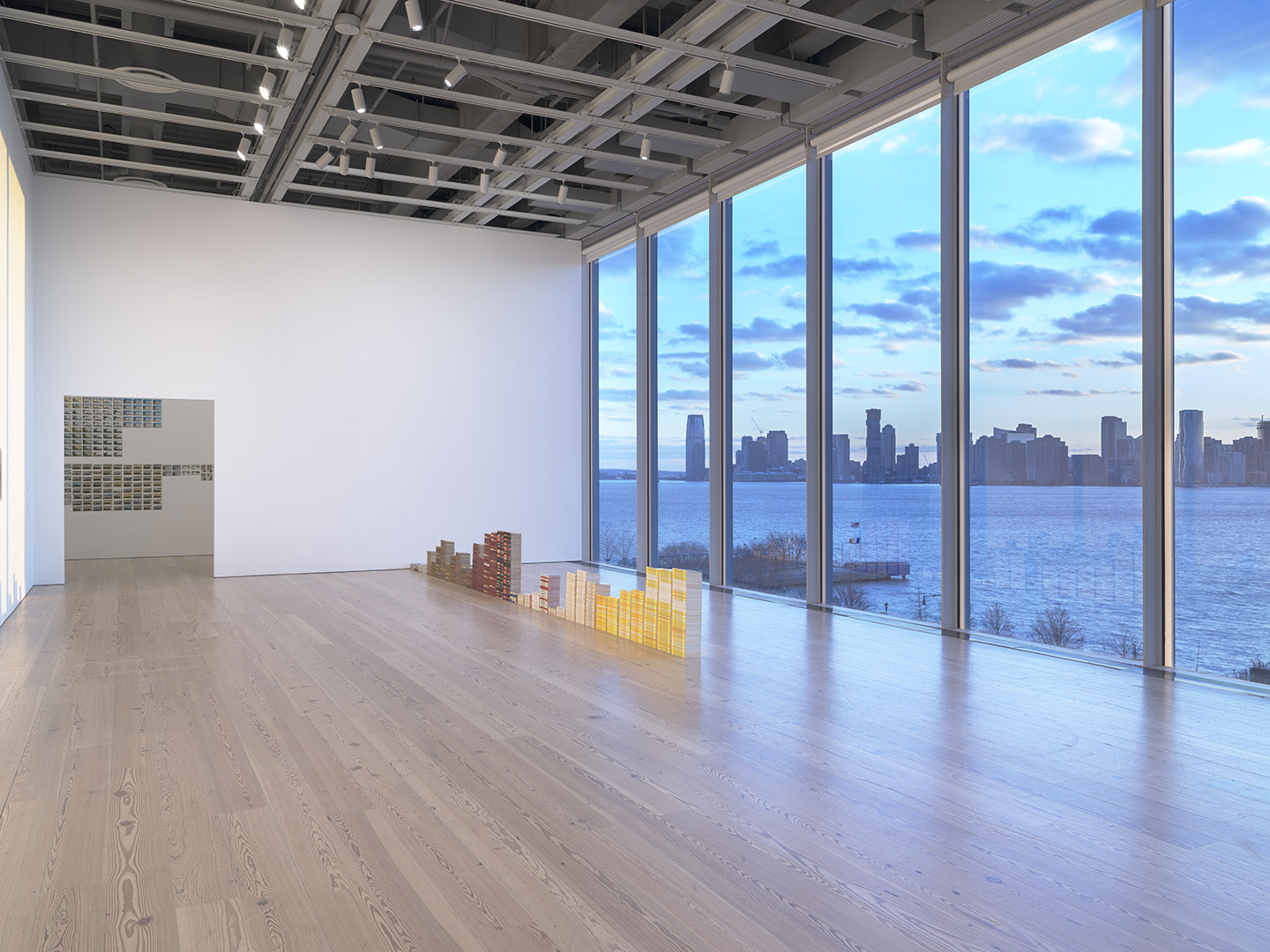 Zoe Leonard “Survey” at Whitney Museum of American Art, New York